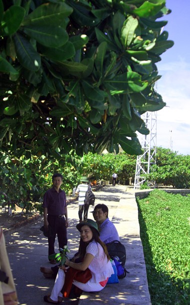 The first person to grow Barringtonia asiatica on Truong Sa islands - ảnh 1